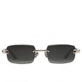 Hydra - Black Tint/Silver