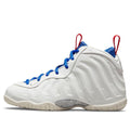 (PS) Nike Little Posite One 'USA Moon' DJ4025-001