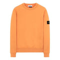 Men's STONE ISLAND Cotton Round Neck Orange 731563020-V0032